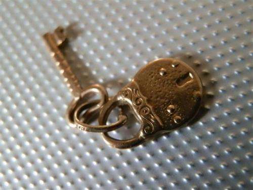 Fantastic Solid Gold Charm