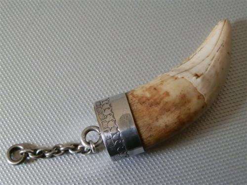 Antique / Vintage Solid Silver capped Lion Tooth Fob