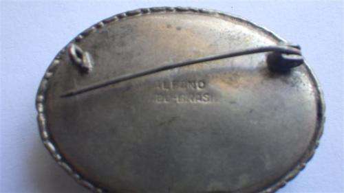 Vintage Butterfly Wing Brooch and Earring Set