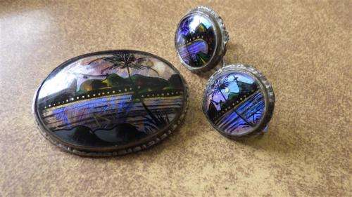 Vintage Butterfly Wing Brooch and Earring Set