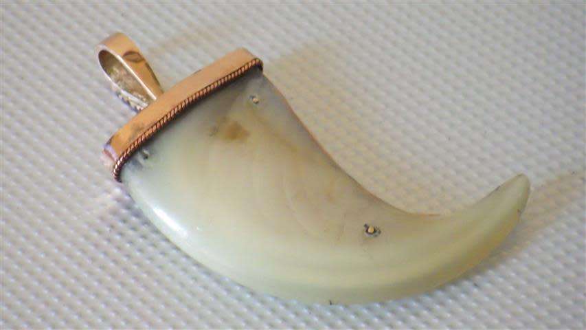 Gorgeous Vintage 9 ct Gold Lion Claw Ruby Accent Pendant and Chain - weight 5 g