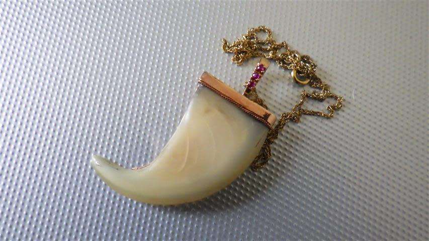 Gorgeous Vintage 9 ct Gold Lion Claw Ruby Accent Pendant and Chain - weight 5 g