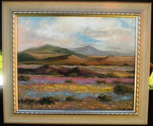 NAMAQUALAND SCENE BY DON BENZIEN