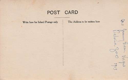 ANTIQUE POSTCARD PRETORIA ZOO 1913