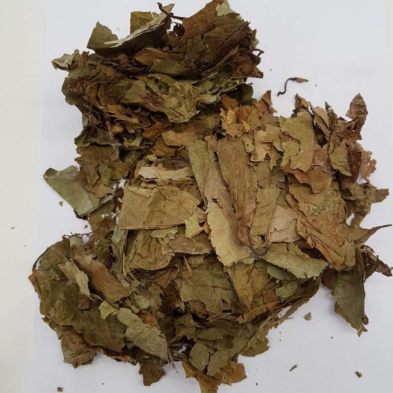 Banisteriopsis caapi - Leaves 100g