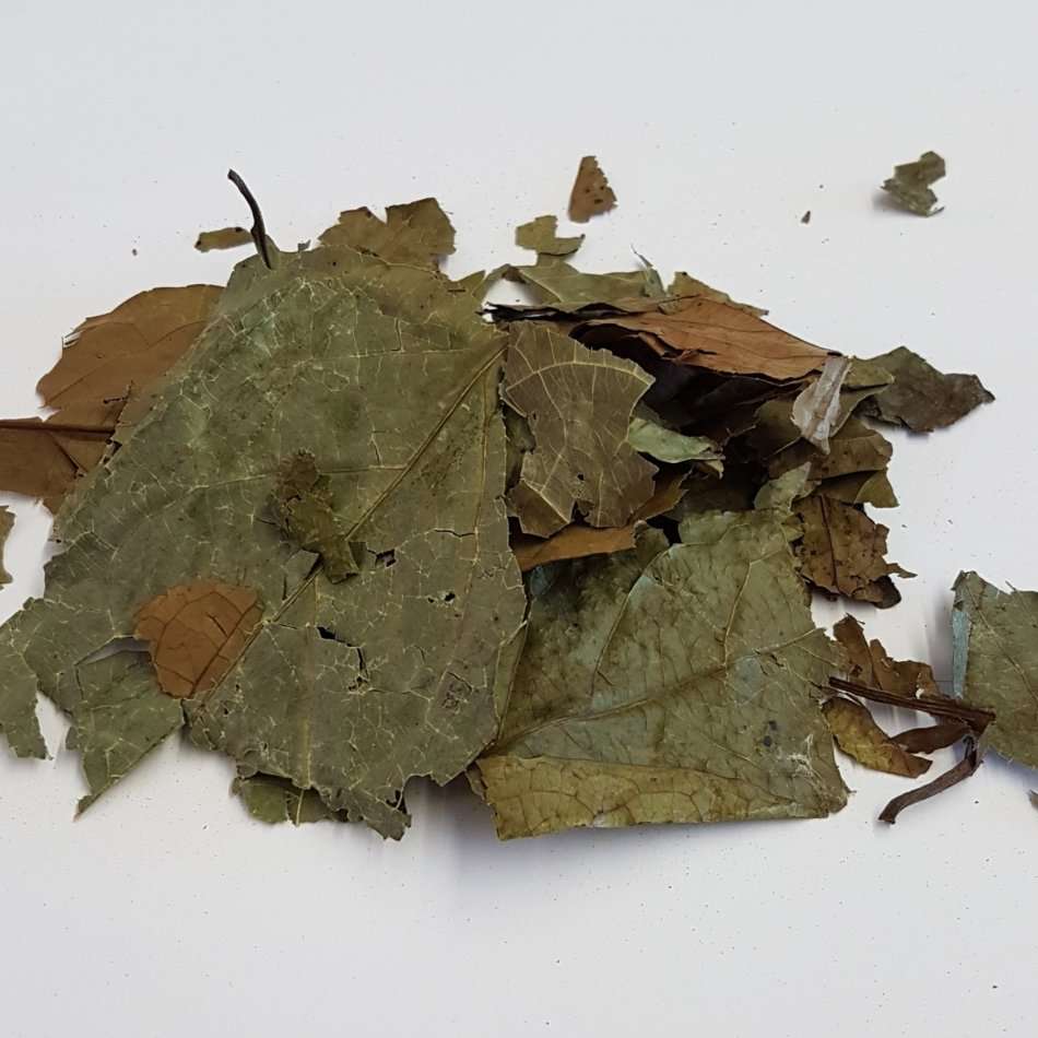 Diplopterys cabrerana 25g