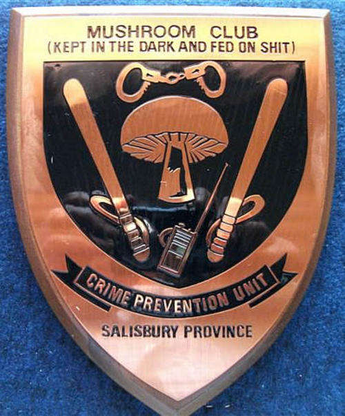 BRITISH SOUTH AFRICA POLICE CRIME PREVENTION UNIT PLAQUE