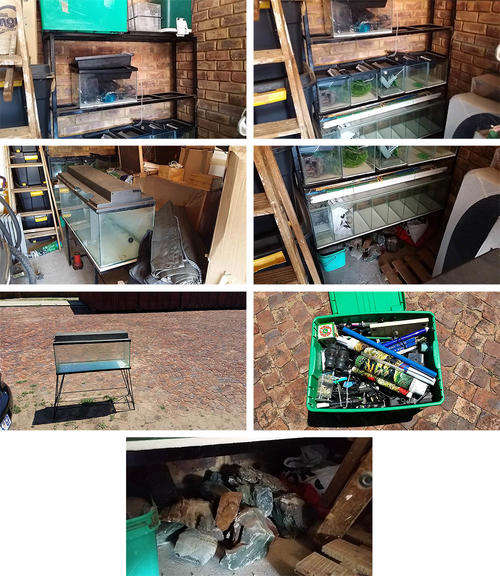 Breeding tanks, pumps, heaters, everything