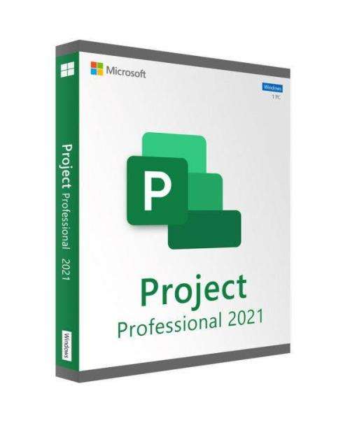 *Microsoft Project 2021 Pro