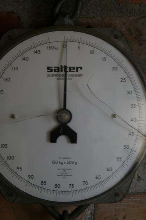Salter scale weighs in kg's