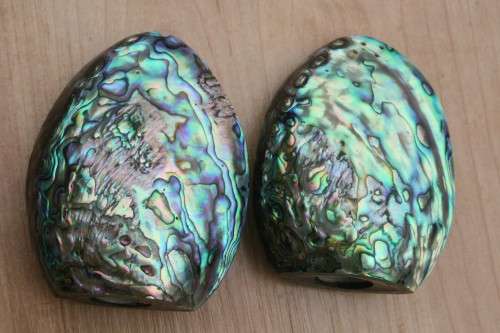 Set of stunning salt and pepper pots made from shell.