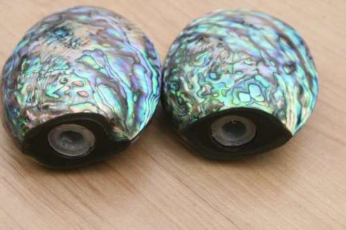 Set of stunning salt and pepper pots made from shell.