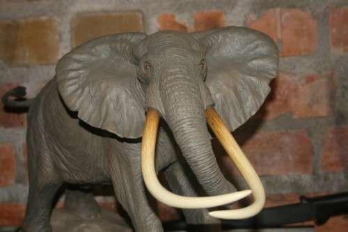 Magnificent 7 Tuskers of Kruger ...Statue of Shawu.