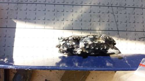 Pre war britains ltd - lead toys ...Farm animal