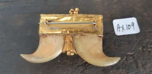 Antique Double Tiger Claws set in solid Gold