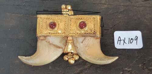 Antique Double Tiger Claws set in solid Gold