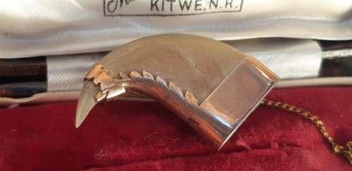 Tiger Claw set in solid Gold