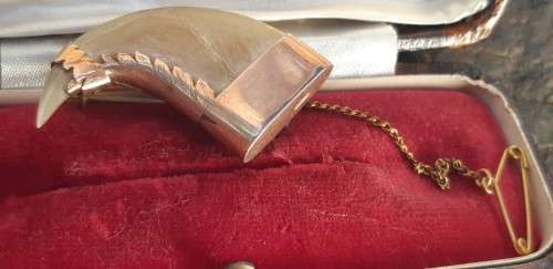 Tiger Claw set in solid Gold