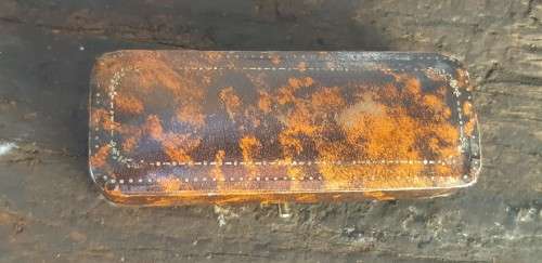 Tiger Claw set in solid Gold