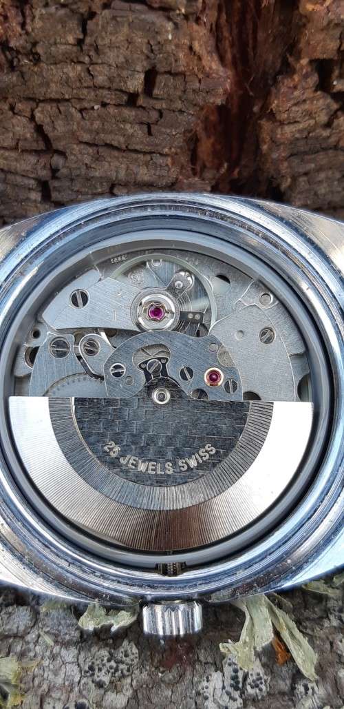 Rodania Automatic 25 Jewels. Working