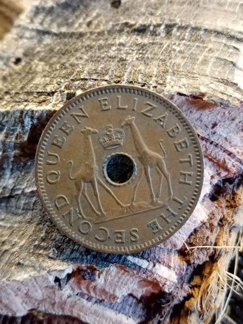 Rhodesia and Nyasaland half penny 1952