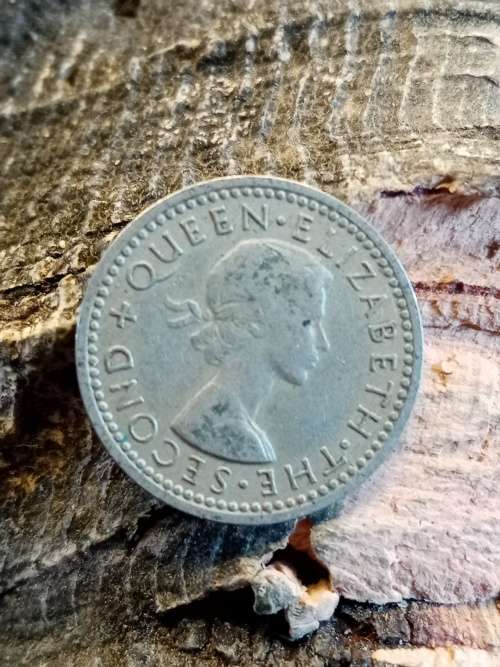 Rhodesia and Naysaland threepence 1956