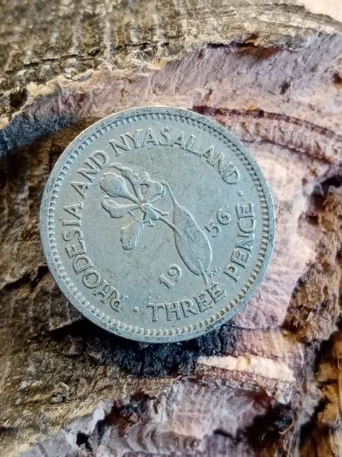 Rhodesia and Naysaland threepence 1956