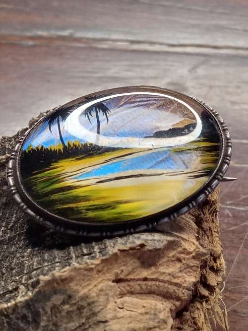 Butterfly wings brooch 39mm by 30mm