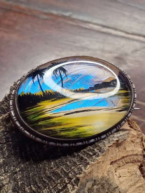 Butterfly wings brooch 39mm by 30mm