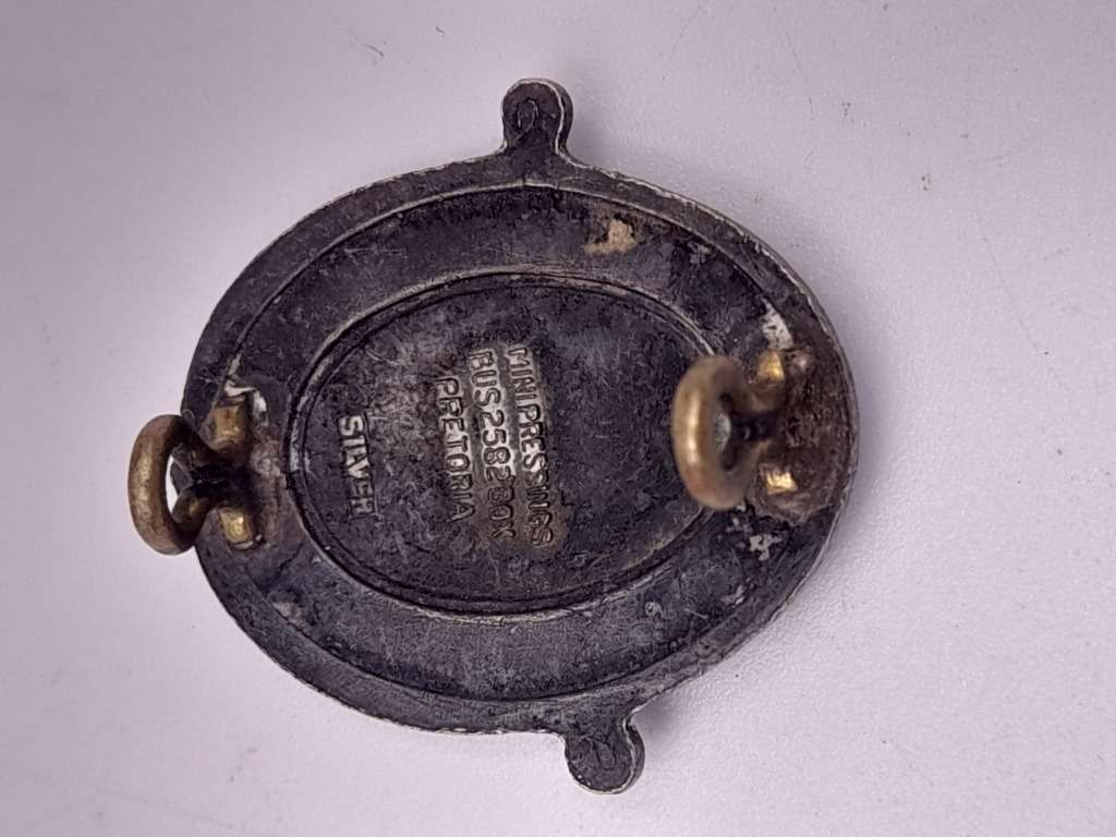 Other Badges & Insignia South Africa nursing council badge silver for