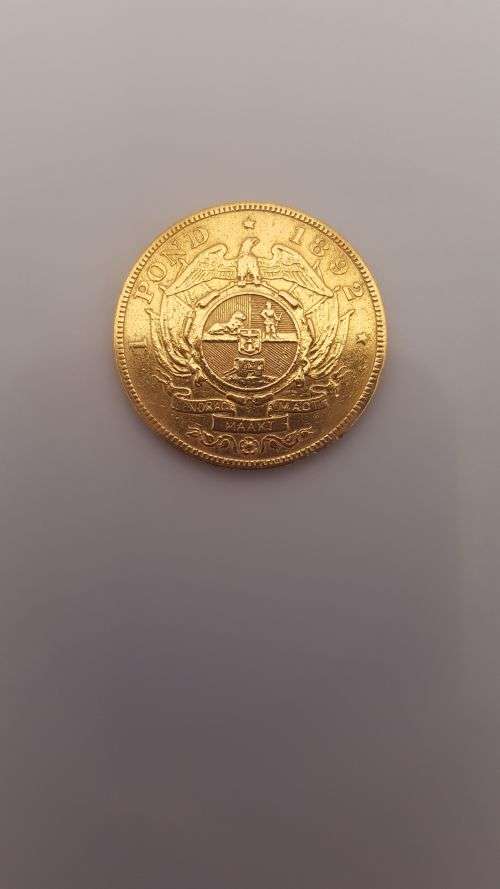 Gold Coin - 1892 Pond - double shaft