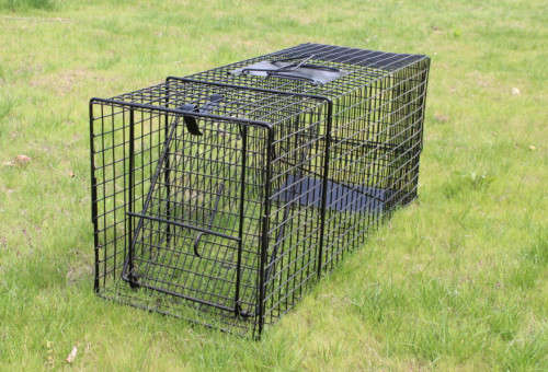 Humane Large ANIMAL CAGE TRAP 76cm