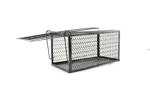 BULK PACK OF 3 RAT TRAP CAGE MEDIUM 26CMx13CMx13CM