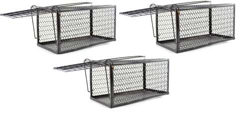 BULK PACK OF 3 RAT TRAP CAGE MEDIUM 26CMx13CMx13CM
