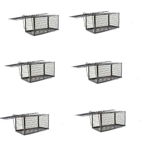 BULK PACK OF 6 RAT CAGE TRAP SMALL 25CMX11CMX11CM