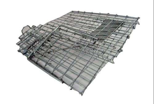 BULK PACK OF FOLDABLE REUSABLE HUMANE MOUSE AND RAT TRAP