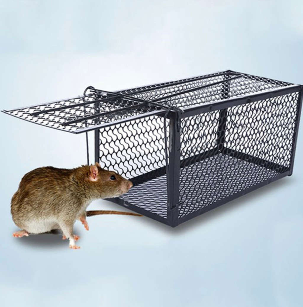 Investify RAT CAGE TRAP MEDIUM 26CMx13CMx13CM