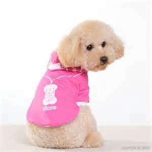 Dog Jacket