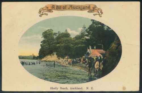 New Zealand 1911 "Shelly Beach - Auckland" used Postcard to Natal in South Africa