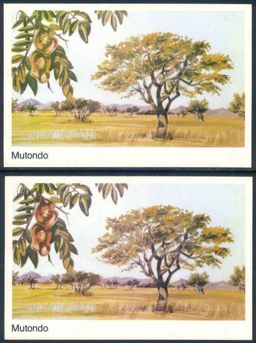 Venda 1982 "Indigenous Trees" Unserviced Maxicard with Colour Variety