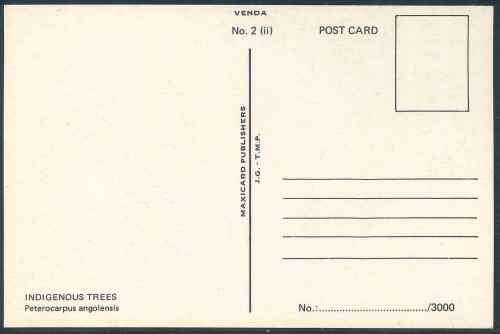 Venda 1982 "Indigenous Trees" Unserviced Maxicard with Colour Variety