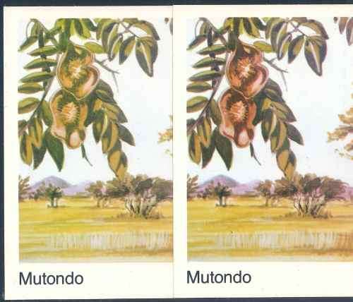 Venda 1982 "Indigenous Trees" Unserviced Maxicard with Colour Variety