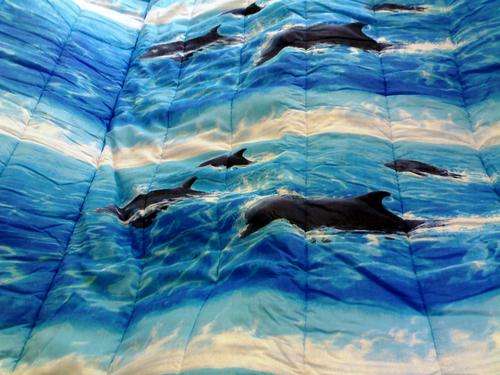 Dolphin Comforter & 1 x pillow case