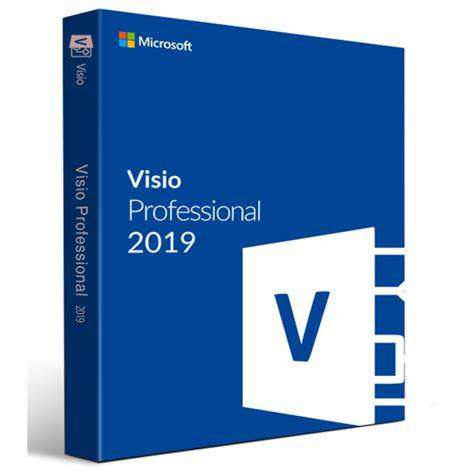 Visio Professional 2019 Online Activation Retail Key 2 PC
