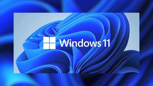 Windows 11 Professional Original Retail License key