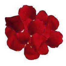 RED HANDMADE ROSE PETALS FOR A VERY SPECIAL TIME!