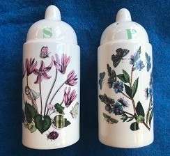 Portmeirion salt and pepper set