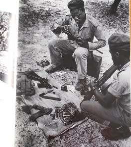 Savimbi`s Angola, by Cloete Breytenbach