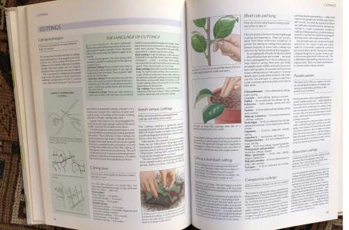 Your Garden Questions Answered: a practical guide for the South African gardener