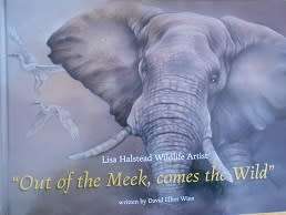 LISA HALSTEAD (SA Wildlife Artist): Out of the Meek, comes the Wild